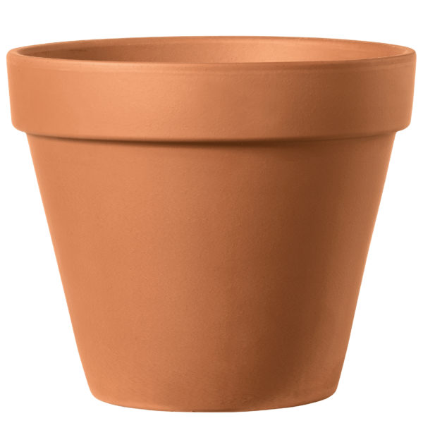 VASO COTTO